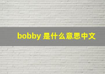 bobby 是什么意思中文